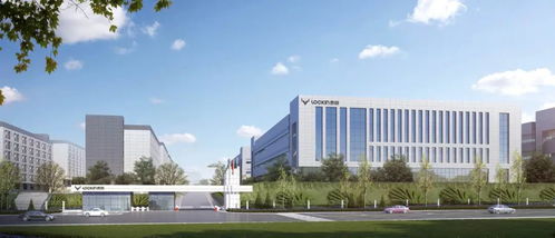 一把智能鎖，解鎖智能安防領域出海大市場 鹿客科技的技術創新與順為系賦能